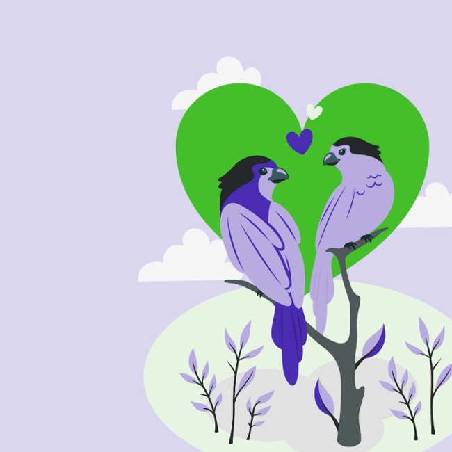 How to Fall in Love with Your HubSpot CMS Website Build